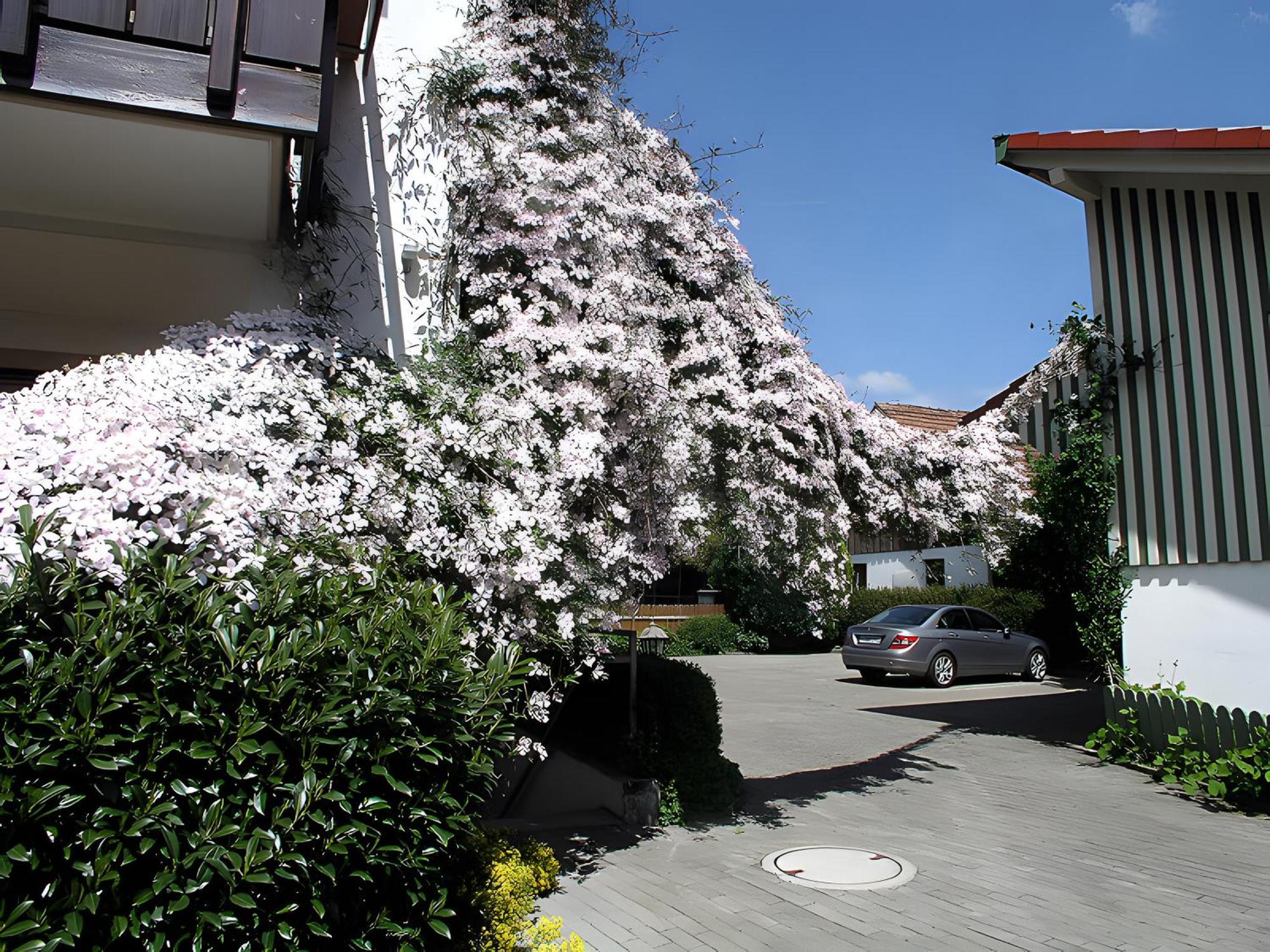 Gaestehaus Gutensohn วัสเซอร์บูร์ก ภายนอก รูปภาพ